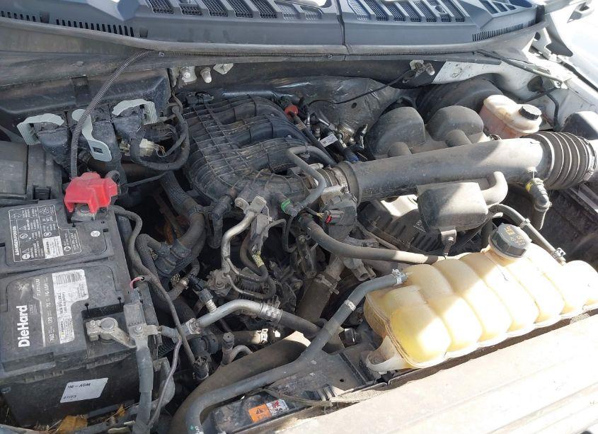 Photo 6 of 2019 Ford F-150 XL (VIN 1FTMF1CBXKKE51480)