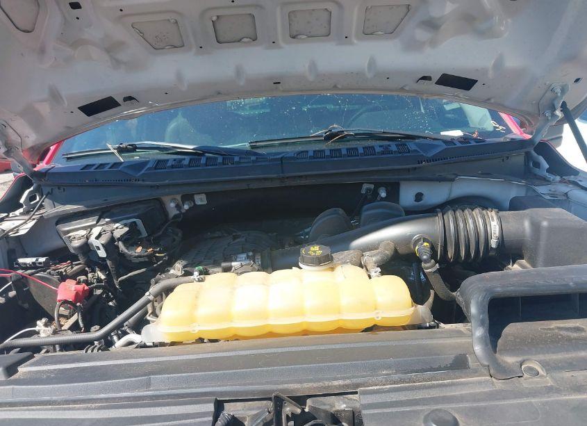 Photo 10 of 2020 Ford F-150 XL (VIN 1FTMF1CBXLFB84030)