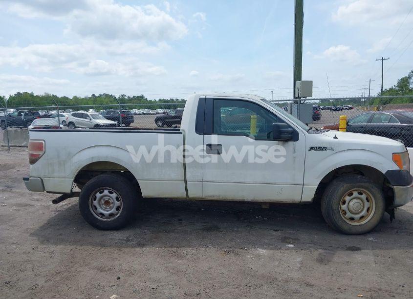 Photo 13 of 2013 Ford F-150 XL (VIN 1FTMF1CF0DFB49260)