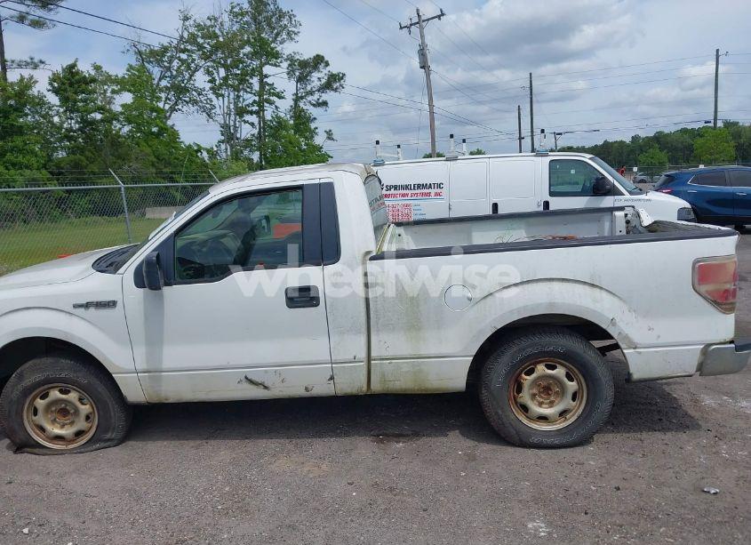 Photo 14 of 2013 Ford F-150 XL (VIN 1FTMF1CF0DFB49260)