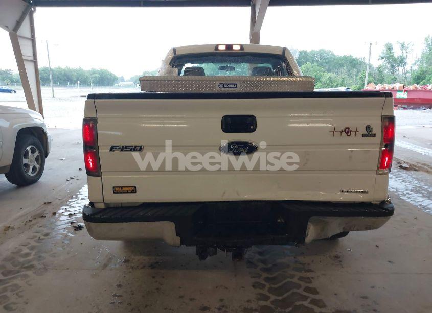 Photo 16 of 2013 Ford F-150 XL (VIN 1FTMF1CF2DFD52330)