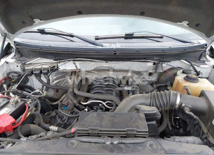 Photo 10 of 2013 Ford F-150 XL (VIN 1FTMF1CF8DKE07256)