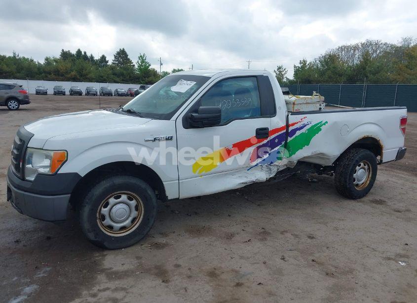 Photo 6 of 2011 Ford F-150 XL (VIN 1FTMF1CM0BKD31575)