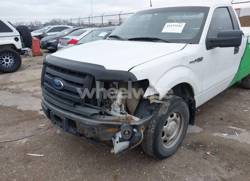 Photo 6 of 2011 Ford F-150 XL (VIN 1FTMF1CM0BKD41930)