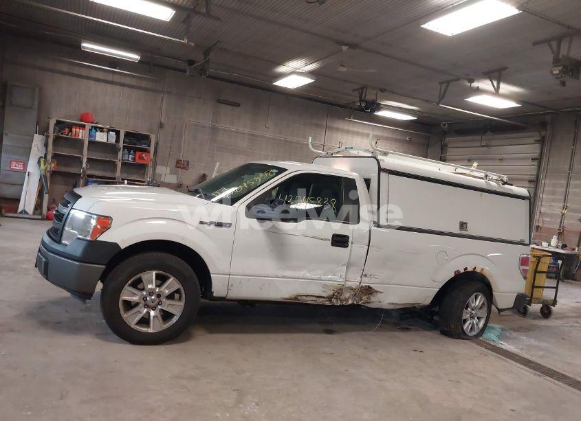 Photo 14 of 2013 Ford F-150 XL (VIN 1FTMF1CM0DKD73831)