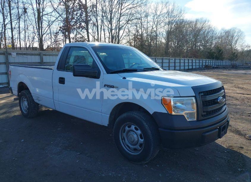 2013 Ford F-150 XL (VIN 1FTMF1CM0DKG18613) main photo