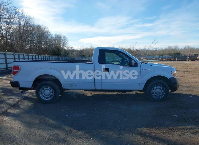 Photo 13 of 2013 Ford F-150 XL (VIN 1FTMF1CM0DKG18613)