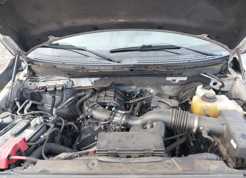 Photo 10 of 2013 Ford F-150 STX (VIN 1FTMF1CM1DFC76520)