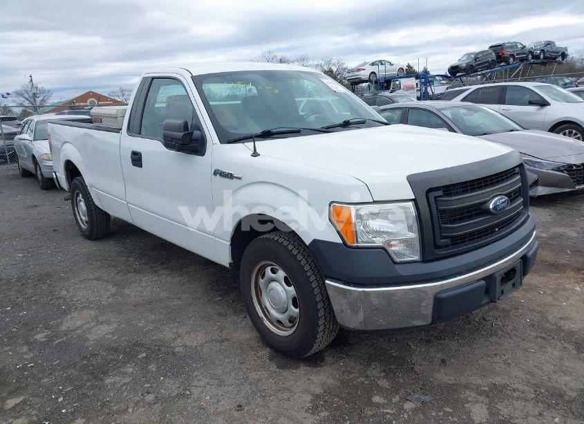 2013 Ford F-150 XL (VIN 1FTMF1CM1DKD13668) main photo