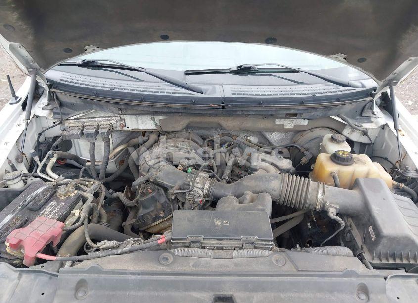 Photo 10 of 2013 Ford F-150 XL (VIN 1FTMF1CM1DKD13668)