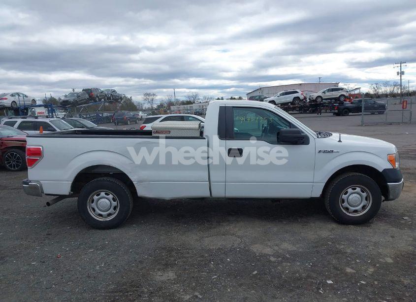 Photo 13 of 2013 Ford F-150 XL (VIN 1FTMF1CM1DKD13668)