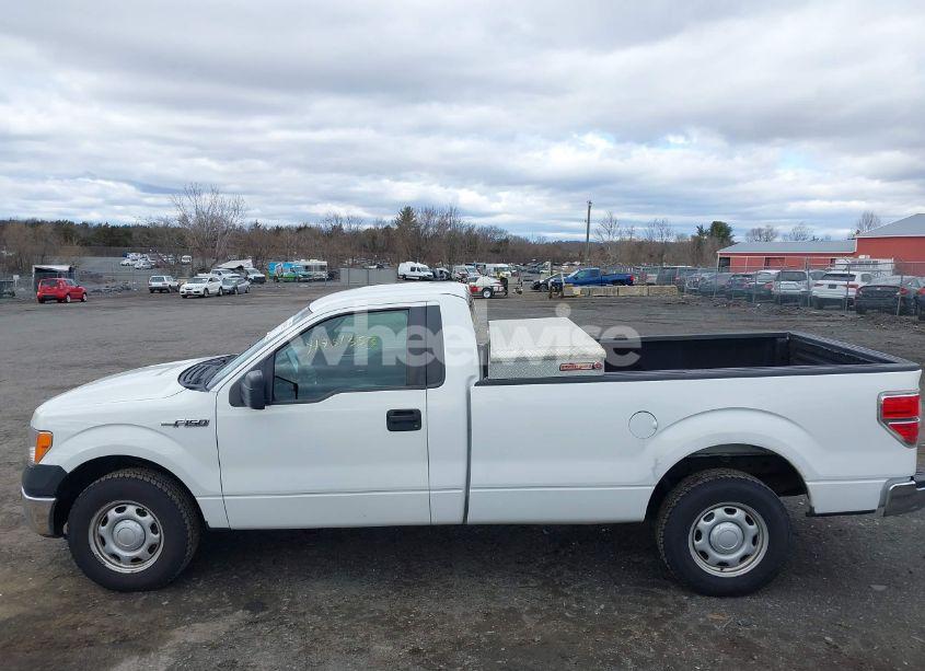 Photo 14 of 2013 Ford F-150 XL (VIN 1FTMF1CM1DKD13668)