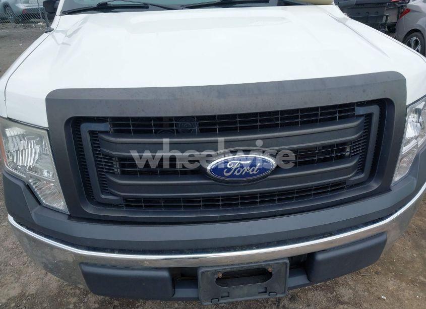 Photo 6 of 2013 Ford F-150 XL (VIN 1FTMF1CM1DKD13668)