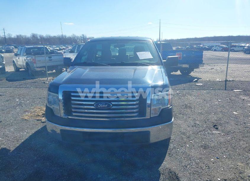 Photo 12 of 2013 Ford F-150 XL (VIN 1FTMF1CM1DKE09090)