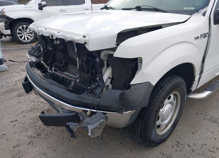 Photo 17 of 2013 Ford F150 N/A (VIN 1FTMF1CM1DKE15360)