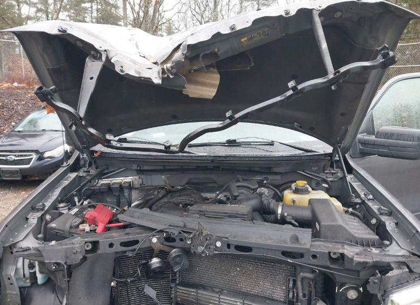 Photo 10 of 2014 Ford F-150 XL (VIN 1FTMF1CM1EFC57922)