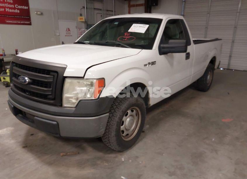 Photo 12 of 2013 Ford F-150 XL (VIN 1FTMF1CM2DKD73829)