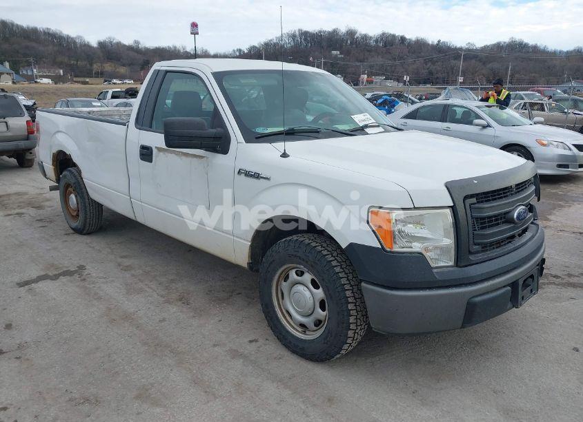 2013 Ford F-150 XL (VIN 1FTMF1CM2DKE62624) main photo