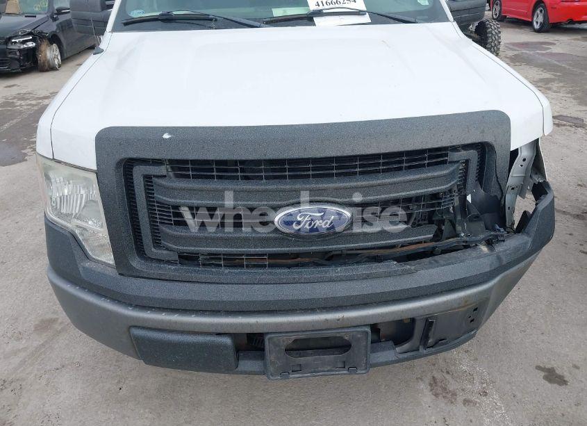 Photo 6 of 2013 Ford F-150 XL (VIN 1FTMF1CM2DKE62624)
