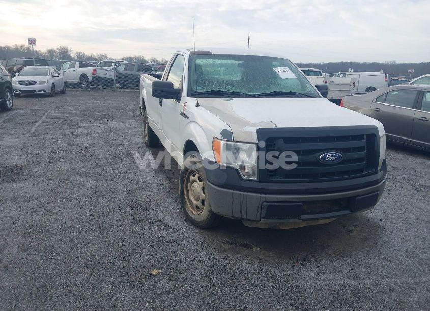 2011 Ford F-150 XL (VIN 1FTMF1CM3BKE12845) main photo