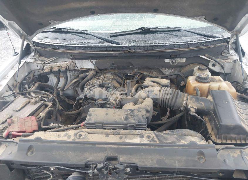 Photo 10 of 2011 Ford F-150 XL (VIN 1FTMF1CM3BKE12845)