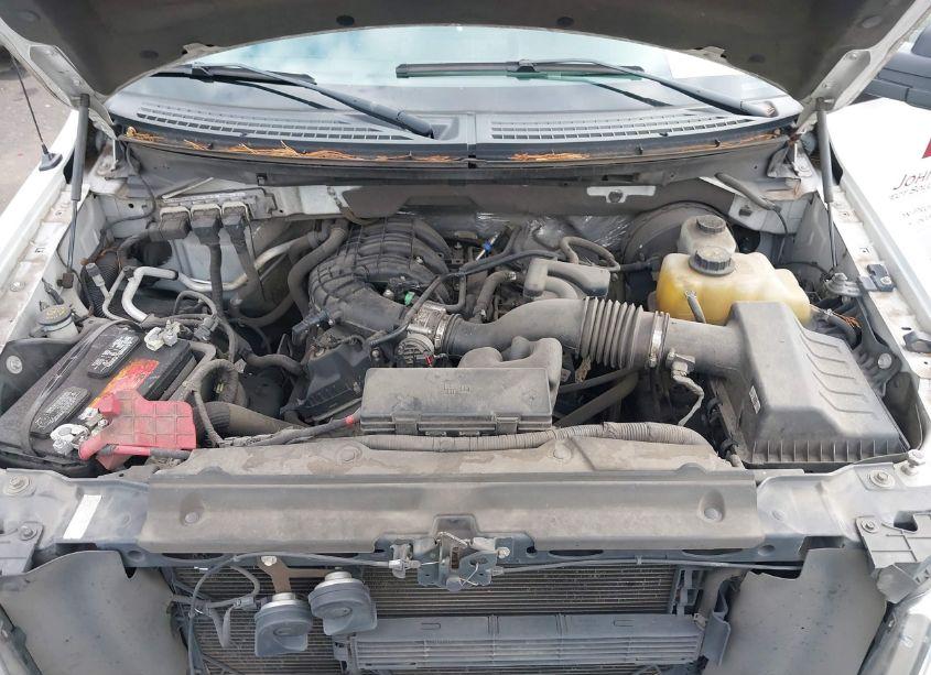 Photo 10 of 2013 Ford F-150 XL (VIN 1FTMF1CM3DKF73067)