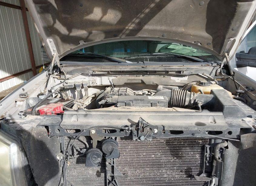 Photo 10 of 2011 Ford F-150 STX (VIN 1FTMF1CM4BFA47374)