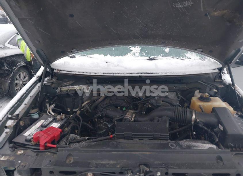 Photo 10 of 2013 Ford F-150 XL (VIN 1FTMF1CM4DFB65251)