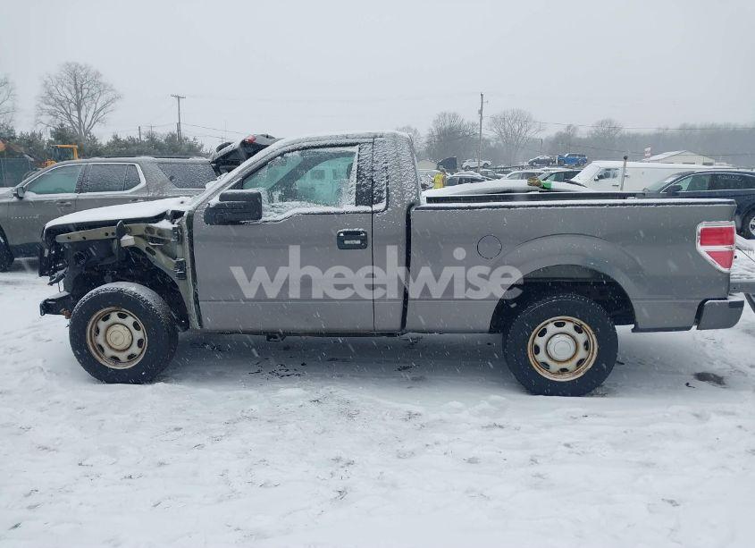 Photo 15 of 2013 Ford F-150 XL (VIN 1FTMF1CM4DFB65251)