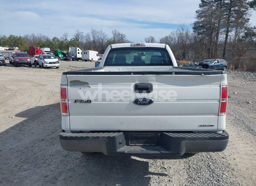 Photo 16 of 2013 Ford F-150 XL (VIN 1FTMF1CM4DKE80784)