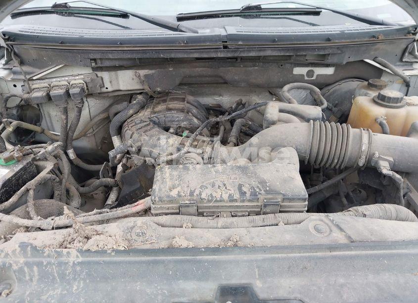 Photo 10 of 2013 Ford F-150 XL (VIN 1FTMF1CM4DKF21429)