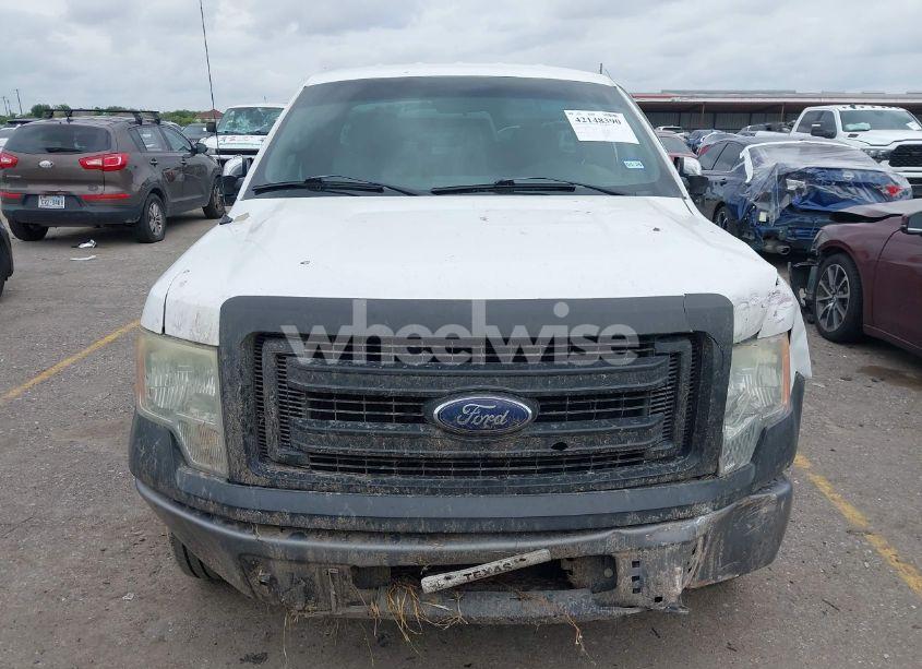 Photo 12 of 2013 Ford F-150 XL (VIN 1FTMF1CM4DKF21429)