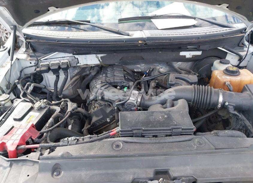 Photo 10 of 2013 Ford F-150 XL (VIN 1FTMF1CM4DKG19540)