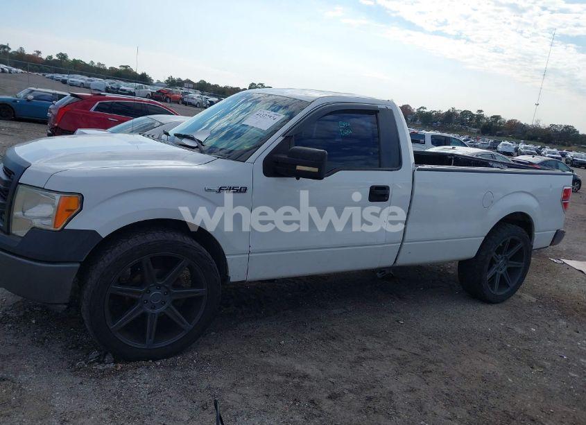 Photo 14 of 2013 Ford F-150 XL (VIN 1FTMF1CM4DKG19540)