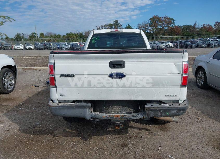 Photo 16 of 2013 Ford F-150 XL (VIN 1FTMF1CM4DKG19540)