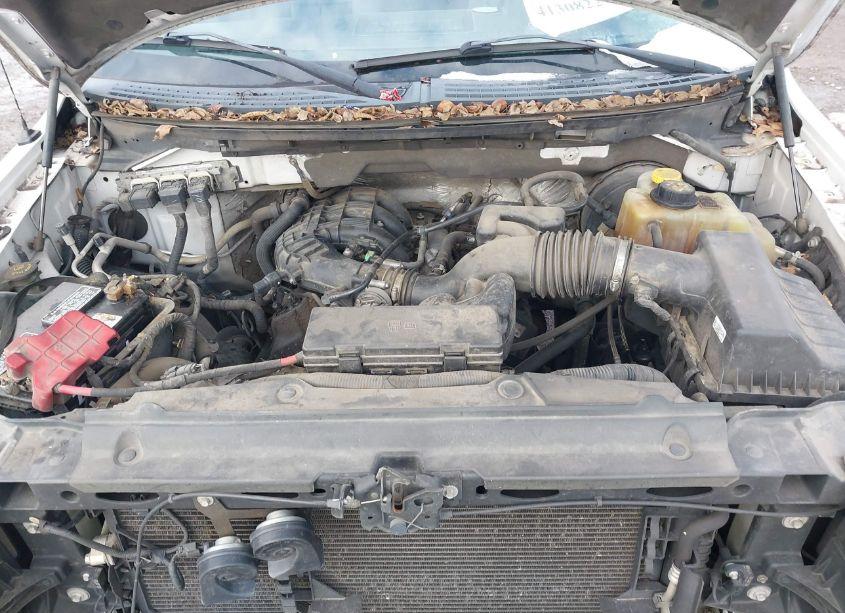 Photo 10 of 2014 Ford F-150 XL (VIN 1FTMF1CM4EFB14768)