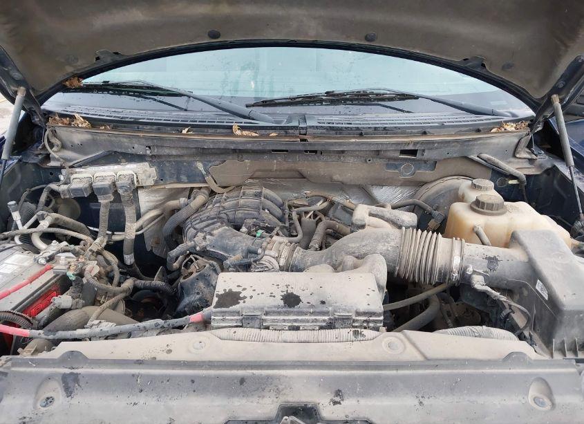 Photo 10 of 2012 Ford F-150 XL (VIN 1FTMF1CM5CFC77796)