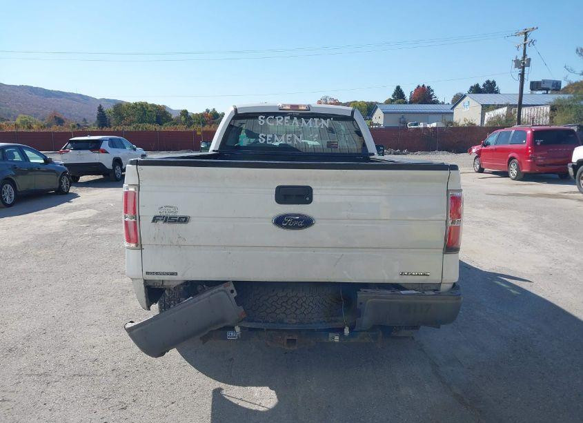 Photo 16 of 2012 Ford F-150 XL (VIN 1FTMF1CM5CKE38414)