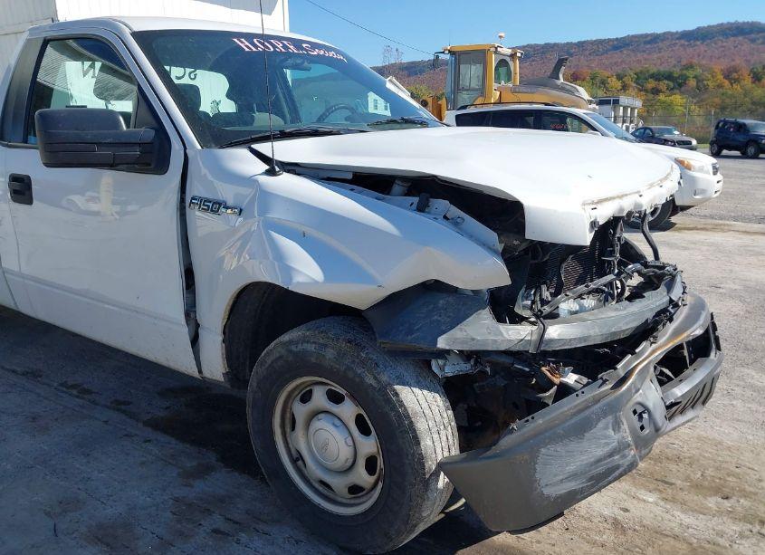 Photo 21 of 2012 Ford F-150 XL (VIN 1FTMF1CM5CKE38414)