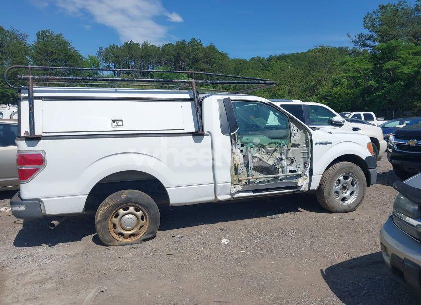 Photo 12 of 2013 Ford F-150 XL (VIN 1FTMF1CM5DKD84369)