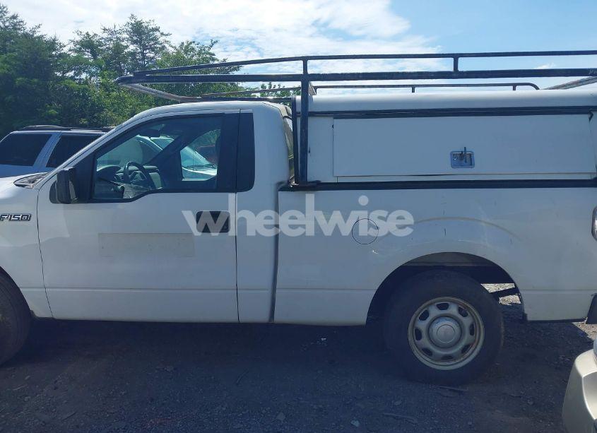 Photo 13 of 2013 Ford F-150 XL (VIN 1FTMF1CM5DKD84369)