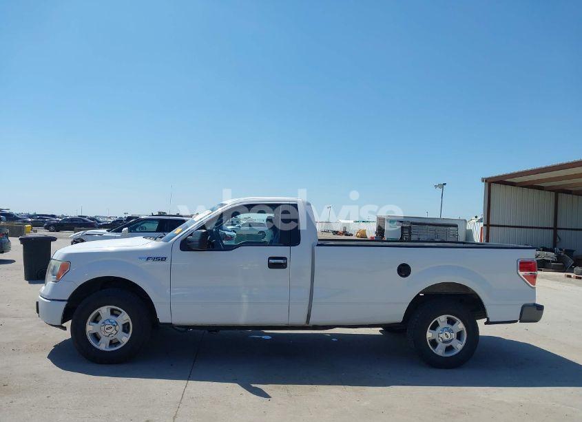 Photo 15 of 2013 Ford F-150 XL (VIN 1FTMF1CM5DKD94920)