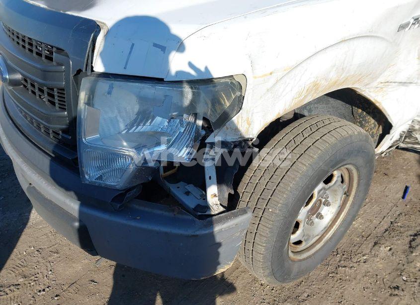 Photo 6 of 2013 Ford F-150 XL (VIN 1FTMF1CM5DKE24563)