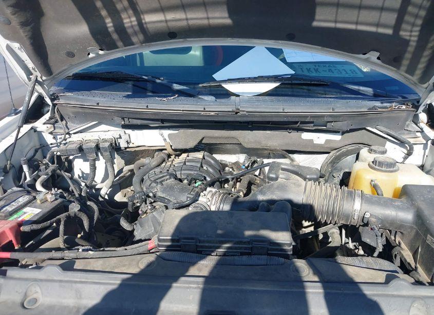 Photo 10 of 2013 Ford F-150 XL (VIN 1FTMF1CM5DKF46646)