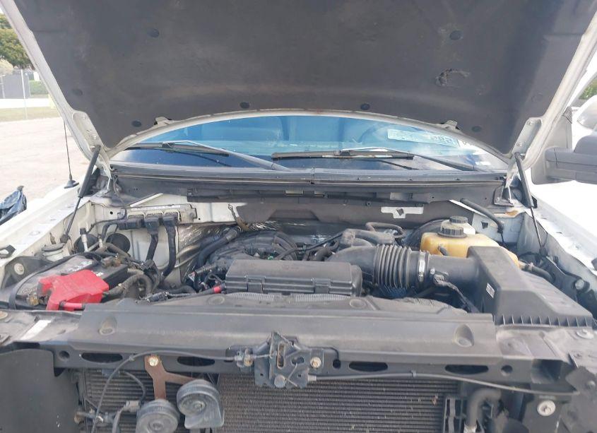 Photo 10 of 2013 Ford F-150 XL (VIN 1FTMF1CM5DKF69764)