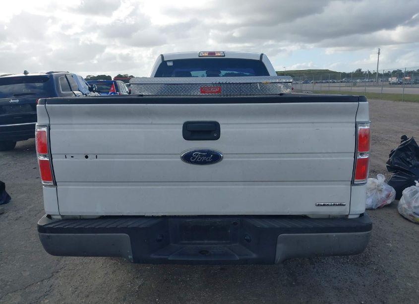 Photo 16 of 2013 Ford F-150 XL (VIN 1FTMF1CM5DKF69764)