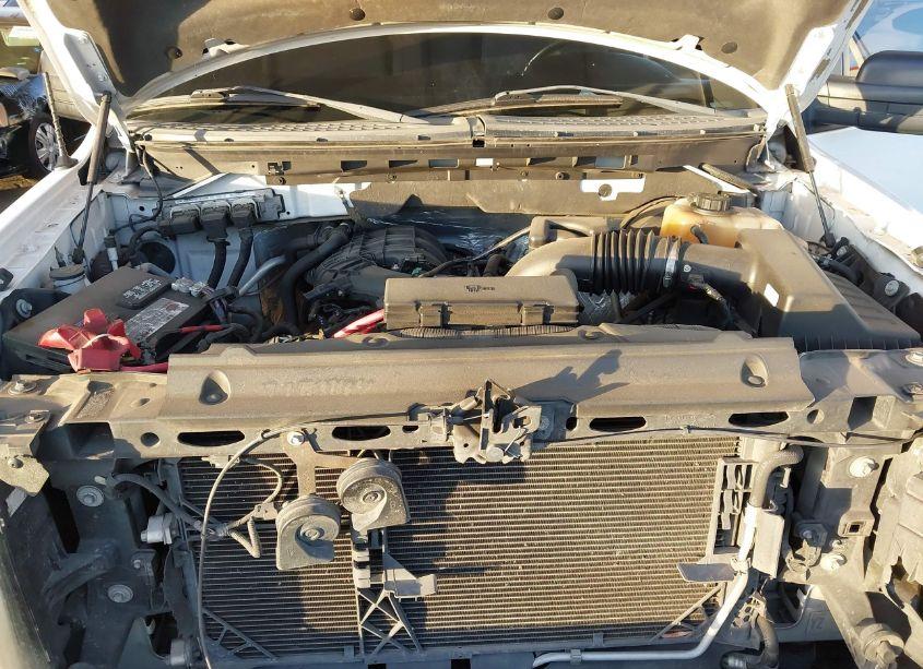 Photo 10 of 2013 Ford F-150 XL (VIN 1FTMF1CM5DKG34466)