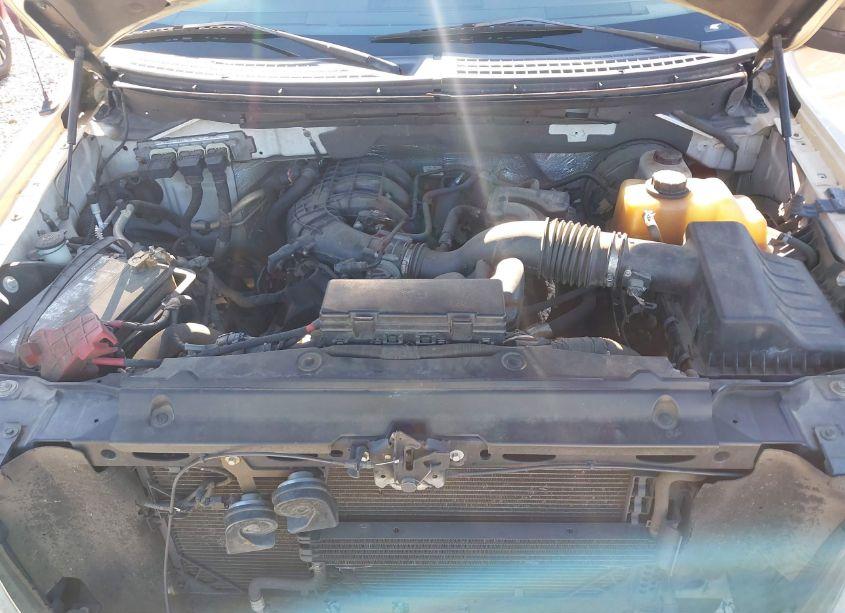 Photo 10 of 2011 Ford F-150 XL (VIN 1FTMF1CM6BFA10956)