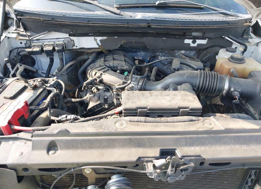 Photo 10 of 2013 Ford F-150 XL (VIN 1FTMF1CM6DFC50916)