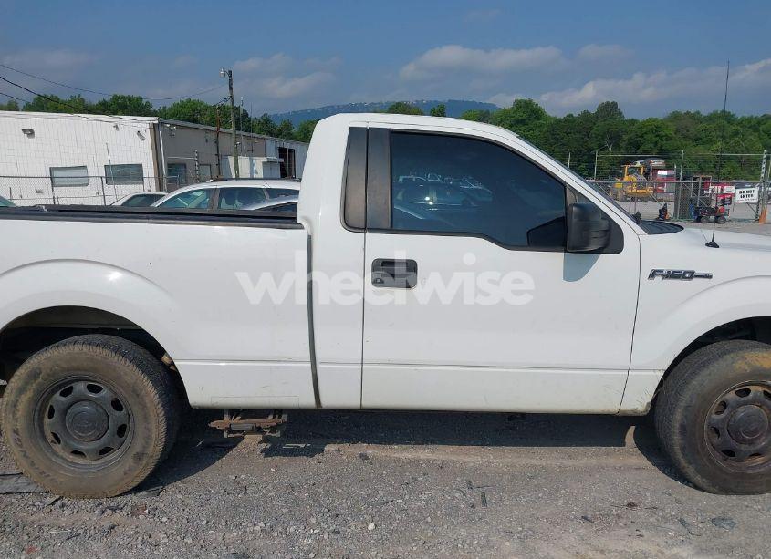 Photo 13 of 2013 Ford F-150 XL (VIN 1FTMF1CM6DFC50916)